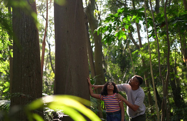 Sustentabilidade